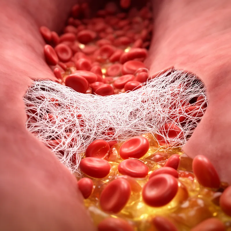 fibrin
