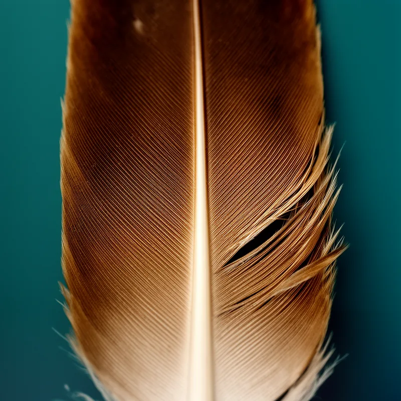 vane