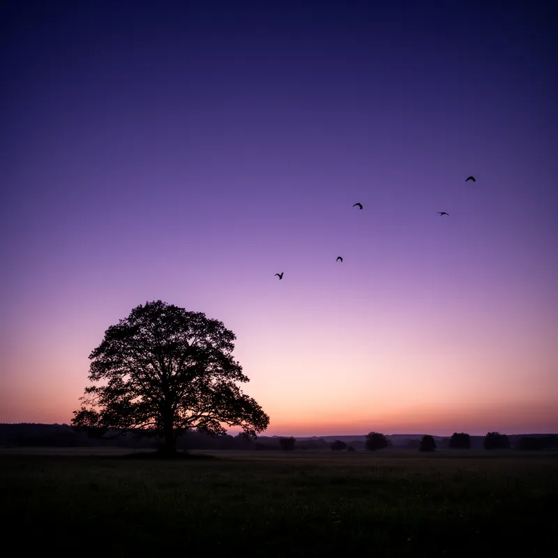 twilight