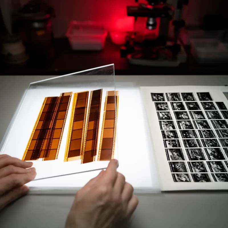 contact print
